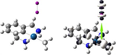 The Dual Descriptor Reveals the Janus–Faced Behaviour of Diiodine